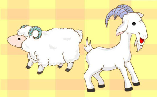 中国生肖山羊绵羊之争
