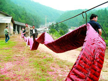 昨日下午,浏阳市枨冲镇坡湾鞭炮厂试放了一挂25米长的鞭炮,在短短2秒