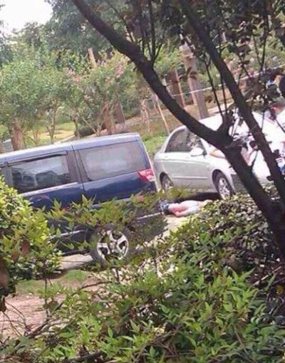图来自微博