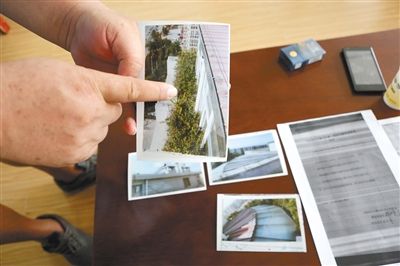 一业主出示拍摄违建上栽种绿植的照片。