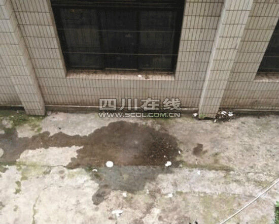 男孩跳楼坠地的地方