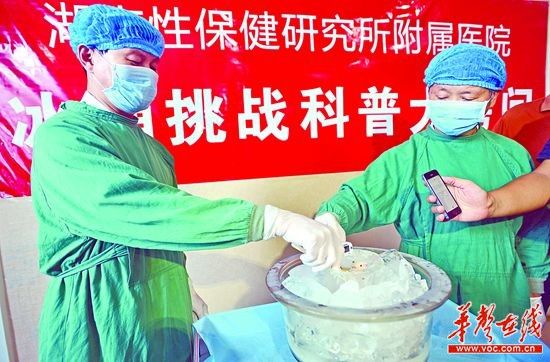 9月10日，湖南省性保健研究所附属医院，实验过程中，小白鼠在0℃的冰水中待五分钟左右便出现了死亡现象。记者 李健 摄