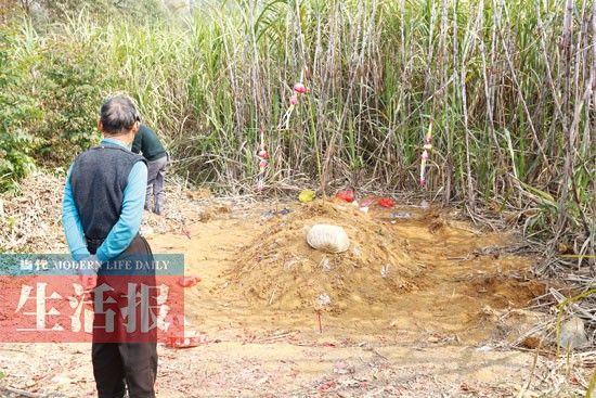 1月22日中午，记者拍摄到的阿英已经重新下葬。