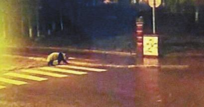 映秀镇一景区拍到的视频截图