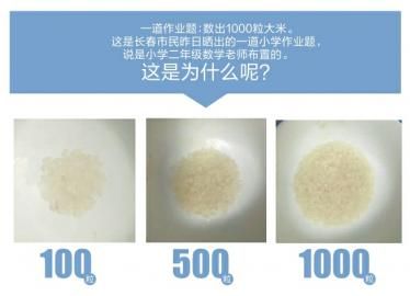 不同数量大米效果图