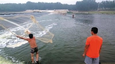 昨日中午，三男孩溺亡的潮白河于新庄村橡胶坝处，仍有市民不顾危险捕鱼和戏水。7月20日下午2点，三名男孩在此滑入水中溺亡。 