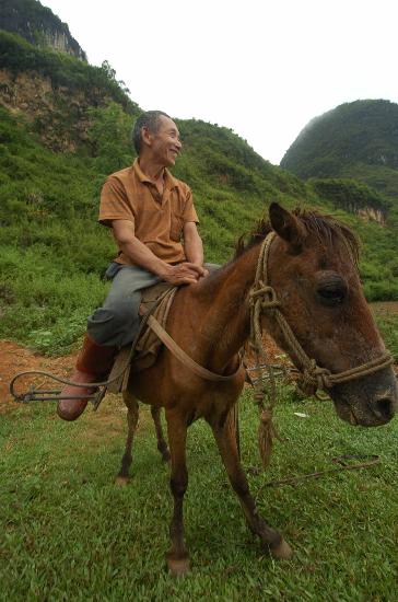 在广西德保县燕桐乡那布村,村民在骑一匹身高不足1米的德保矮马