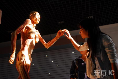 组图安徽博物馆展示价值2000万真人标本