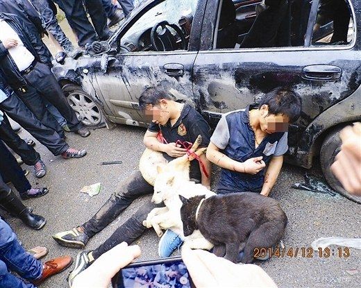 愤怒的村民让偷狗贼抱着3条死狗示众