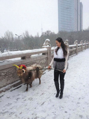 美女街头雪中遛羊