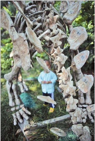 具仿化石的剑龙骨架颈部已经没有了几块骨头