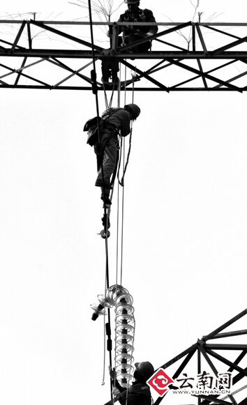 高空作业更换被鸟粪污染的绝缘子