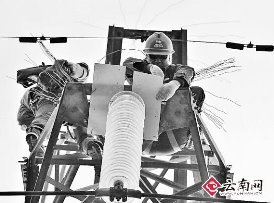 高压线塔材上粘上了一层鸟粪