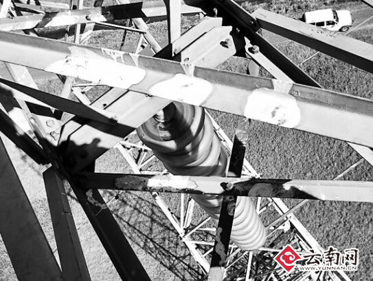 绑扎“防鸟粪挡板”