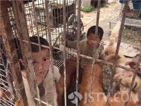 网曝南京一对小兄妹在垃圾堆中与狗同吃同住 资料图