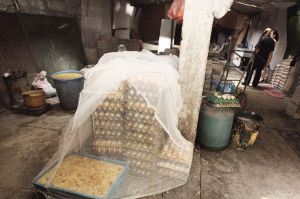 沈阳行政执法查违建发现地下黑加工点