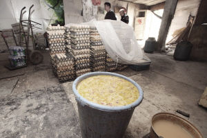 加工点臭气熏天，苍蝇环绕-本组图片由华商晨报掌中沈阳客户端记者宫晓天摄