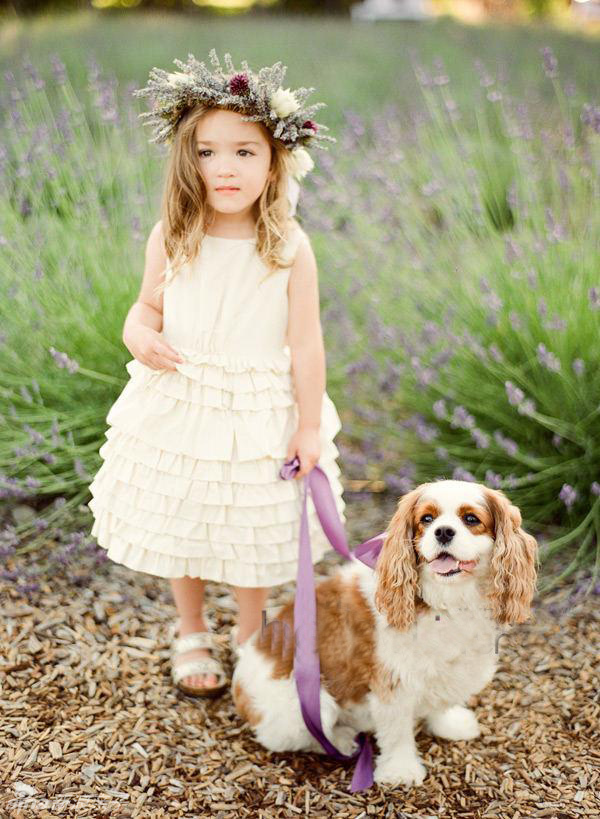 婚礼上最美一景——小花童