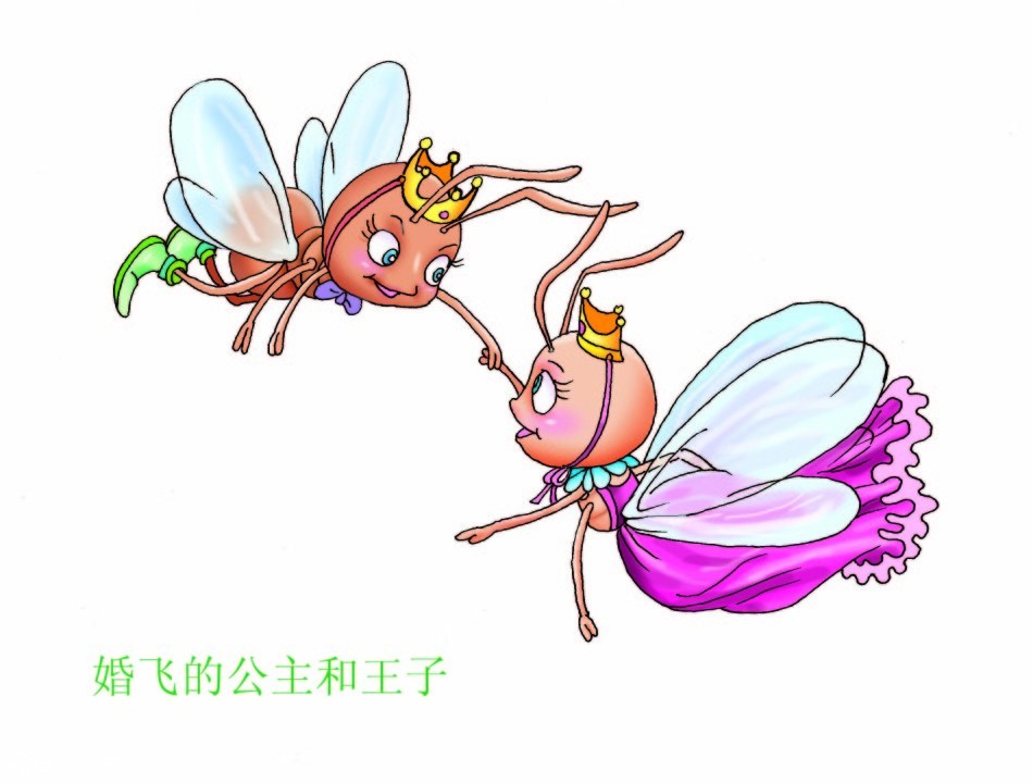 公主和王子 支持   键翻阅图片 列表查看 大图 全屏观看 2 / 6 《酷蚁