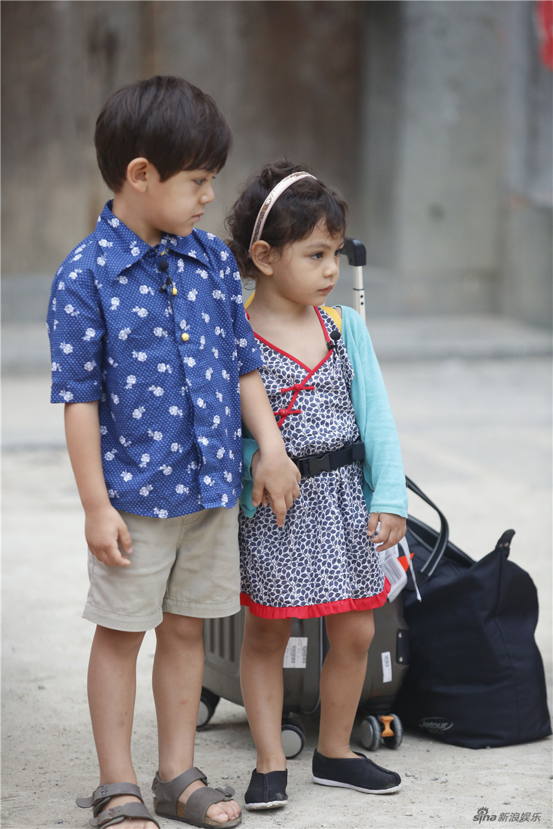 爸3诺一护妹变霸道总裁