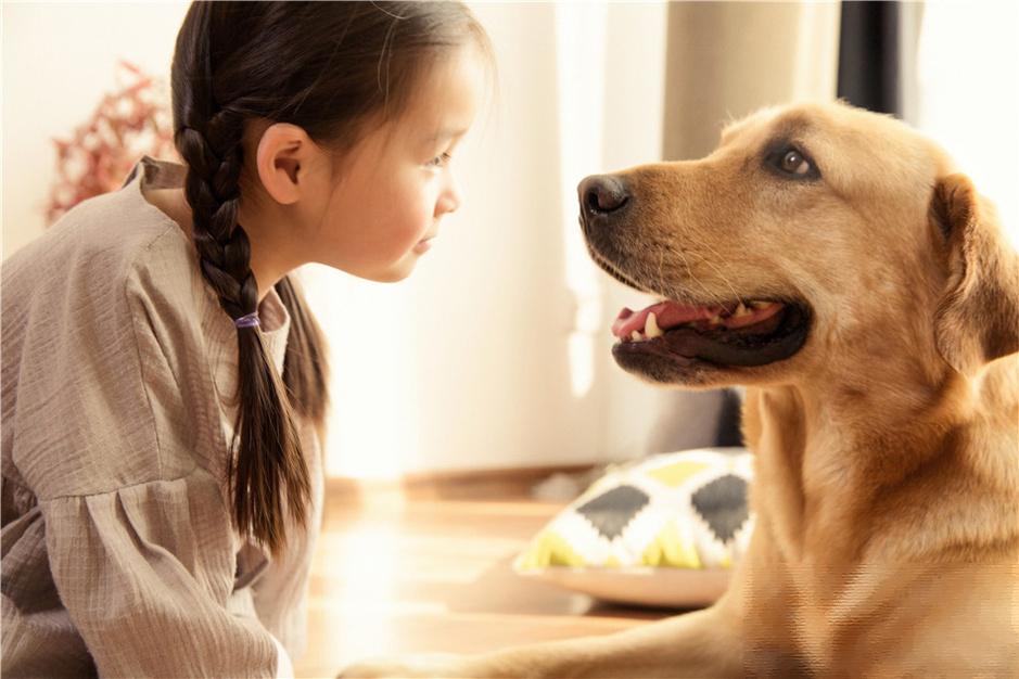 近日《神犬小七》剧组曝光了一组剧中小演员李一情和神犬小七的激萌