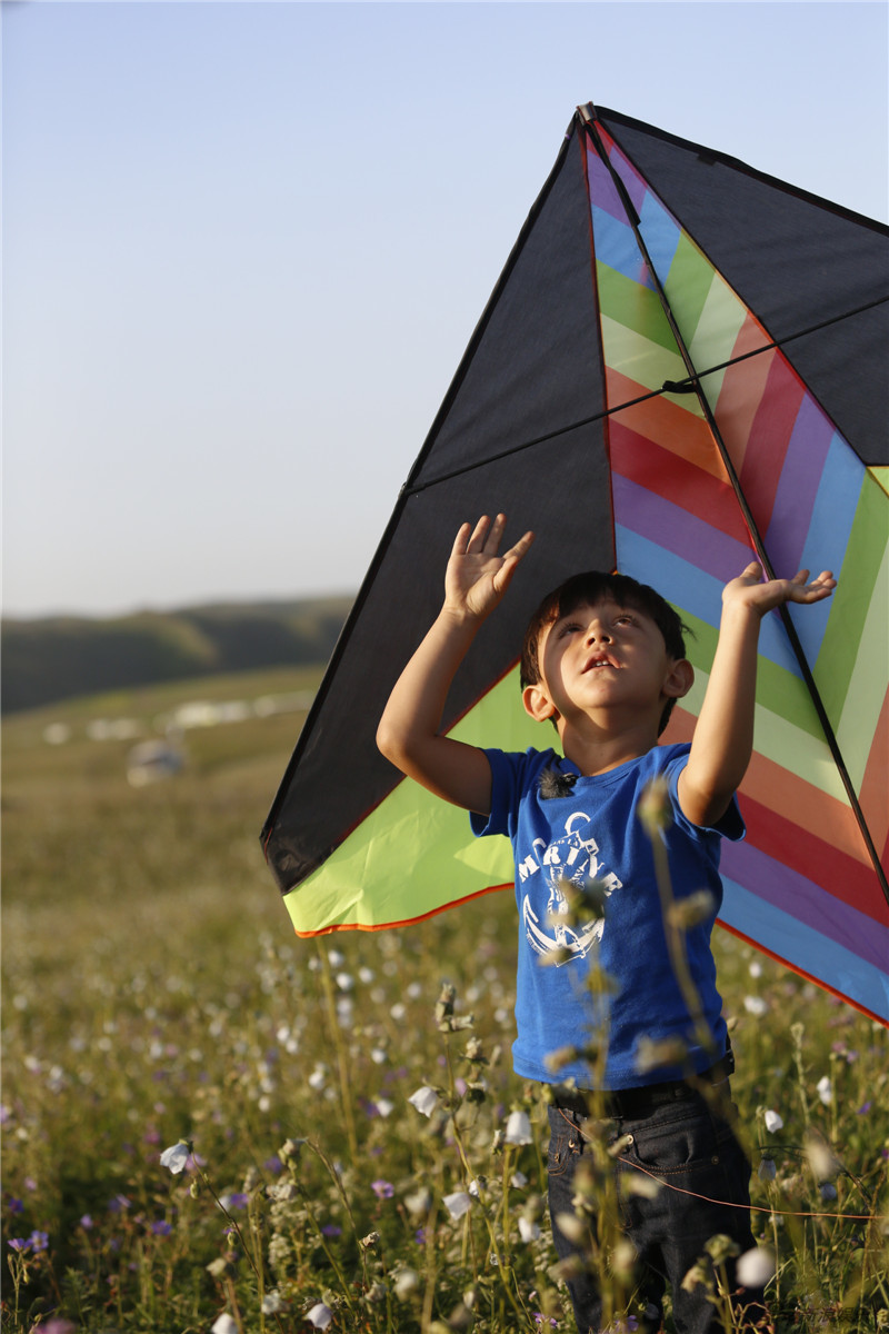 刘诺一新疆草原放风筝_高清图集_新浪网