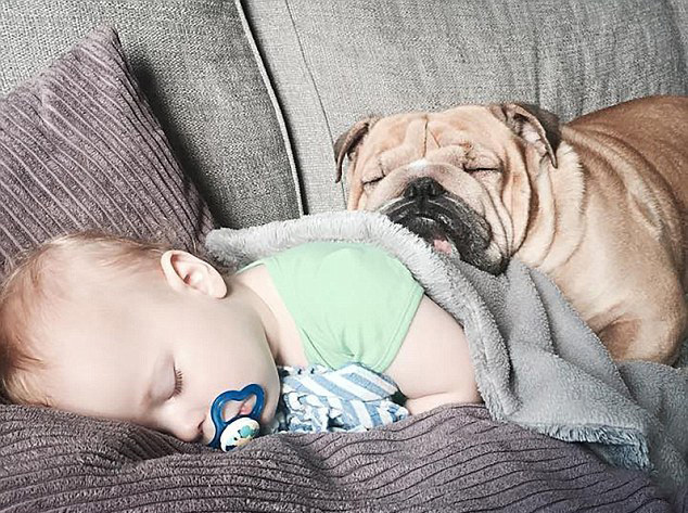 男童与狗狗亲似兄弟