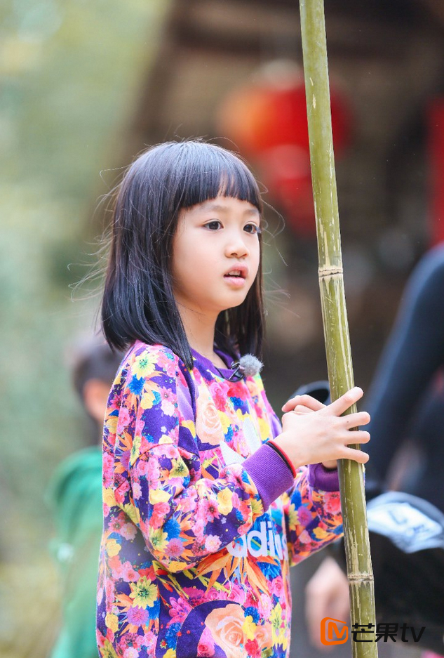 爸爸4考拉鬼马精灵颜值高_高清图集_新浪网