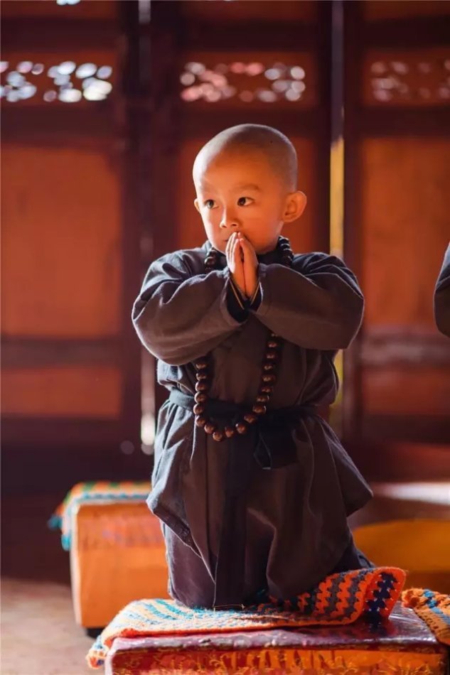 西来寺的小修行者_高清图集_新浪网