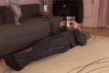 专业坑爹三十年