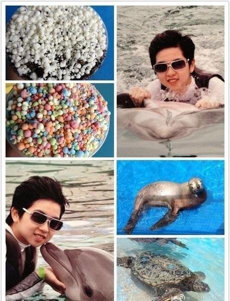 微博上一位信息为"张家乐"的博友被网友挖掘出来,信息显示,来自于深圳