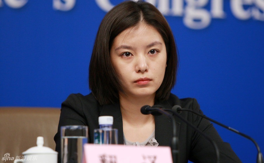 两会美女翻译吸引眼球