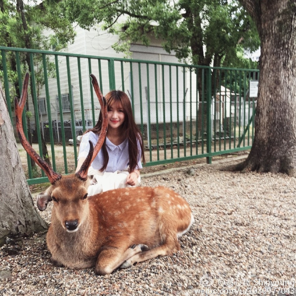 浙传校花翁心颖海量私房照 被赞美若天仙