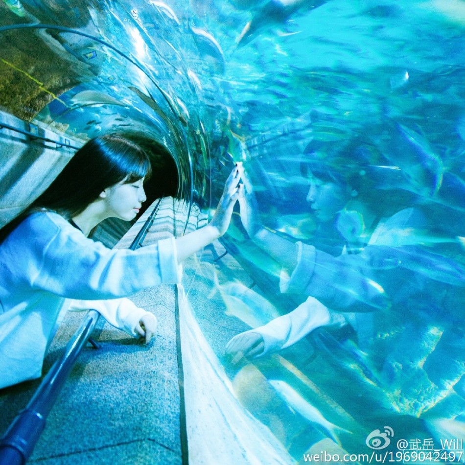 校花晒海洋馆写真 酷似日本千年一遇美少女