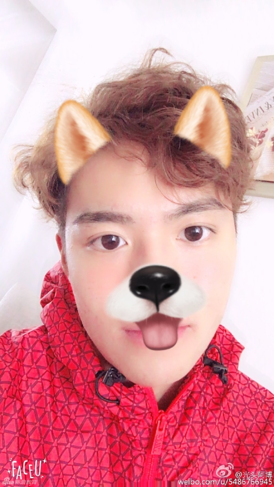 中传播音鲜肉团来袭 看好谁成央视一哥