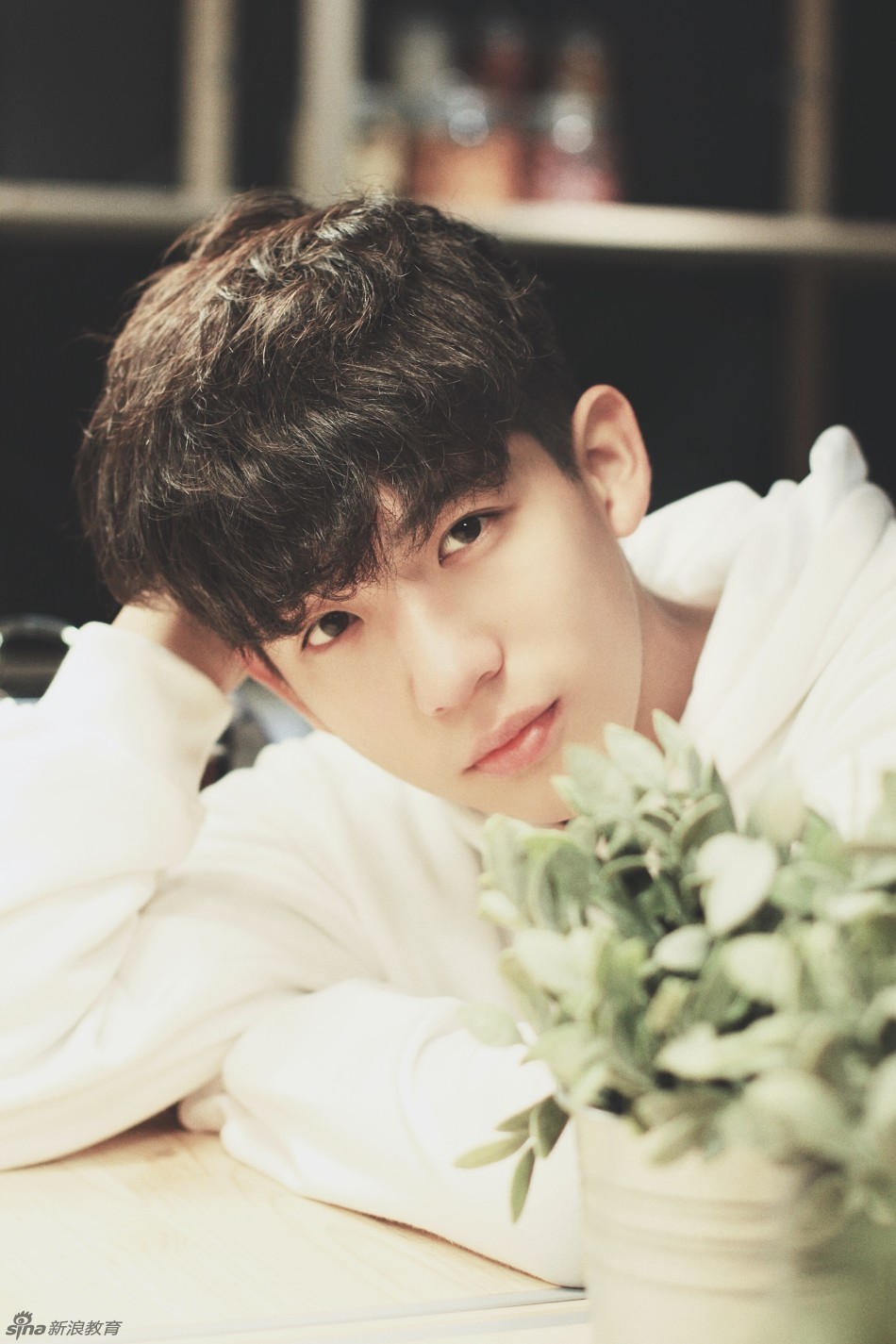 中传校草王安宇晒写真 网友直呼国民初恋