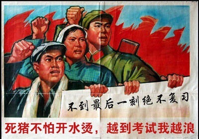 组图:"人有多大胆复习拖多晚"表情包爆红