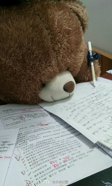 组图:寒假临尾声 同学们晒花式赶作业姿势