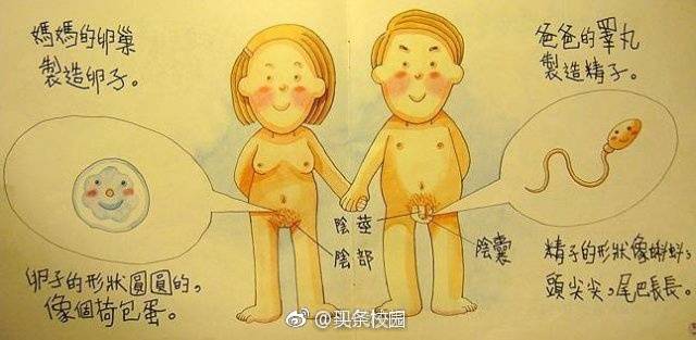 小学发性教育读本引争议