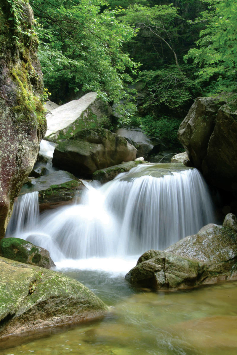 飞瀑流泉靳进志摄