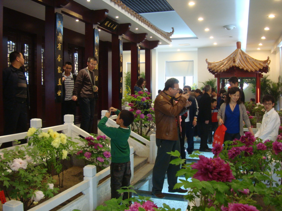 4月4日:牡丹展览馆