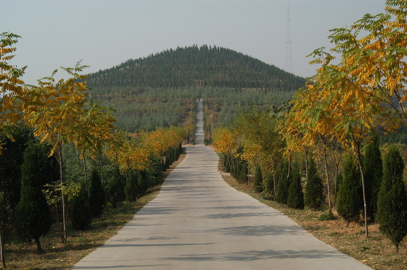 东周王城周王陵