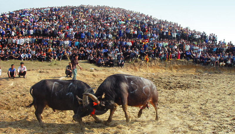 猜你喜欢 3 / 44 凯里市位于清水江畔,是黔东南苗族,侗族自治州首府