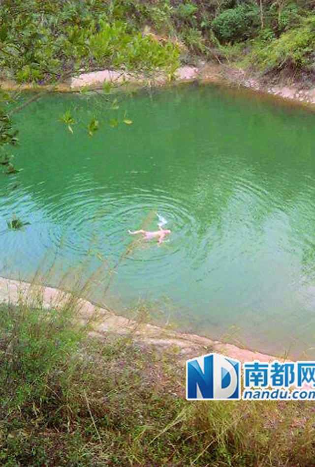 惠州大爷红花湖裸泳 引上万网友围观_高清图集_新浪网