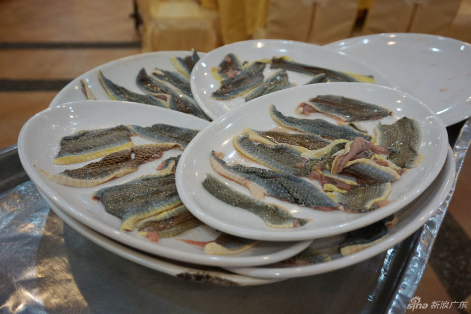 秋风起三蛇肥 广州人气吃蛇餐厅推荐