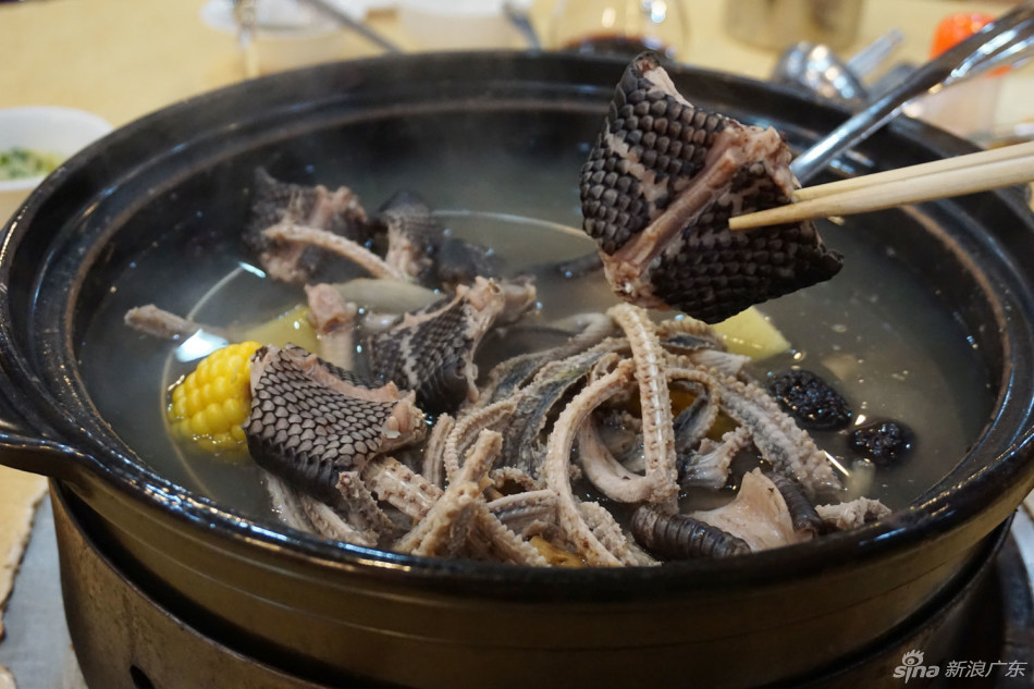 秋风起三蛇肥 广州人气吃蛇餐厅推荐