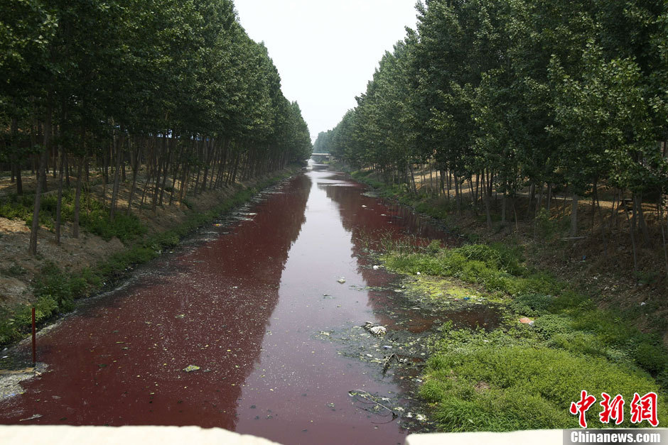 新乡西孟姜女河河水泛红