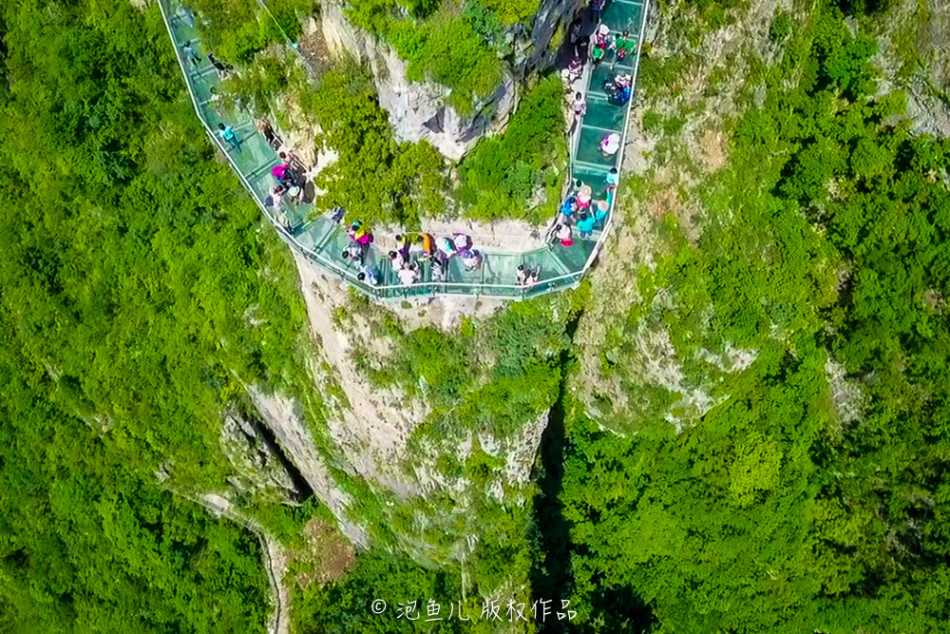 云台山玻璃栈道 大汉吓得也扶墙