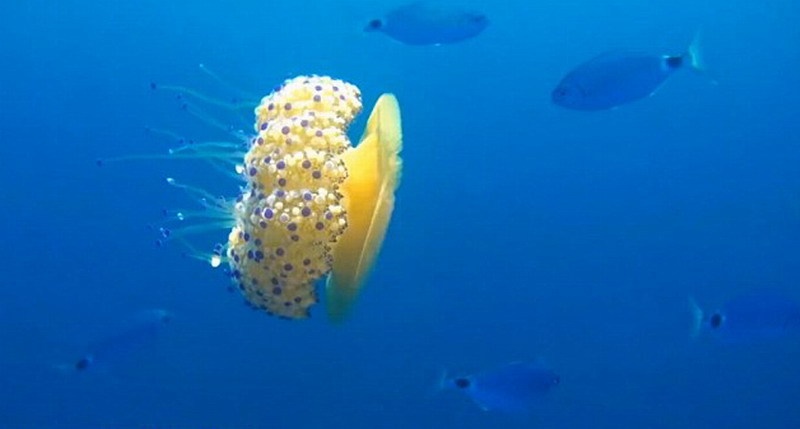 59600_3788761_333959.jpg