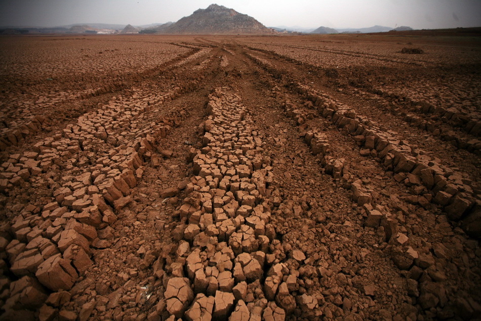 开裂的土地让人心酸